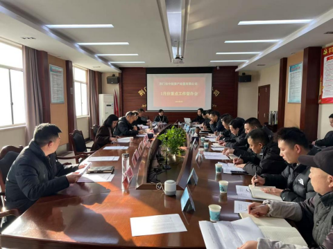2025年1月份重点工作完成暨2月份重点工作督办会简报197.png